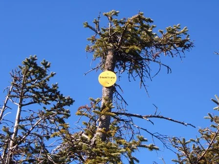 Donaldson (23) and Emmons (24) Mtn's