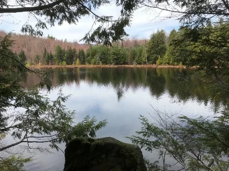 Clements Pond