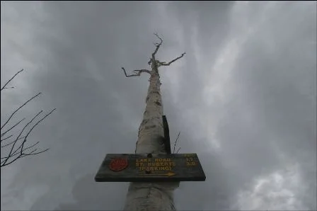 Nippletop (15)  Dial (16) Mtn's