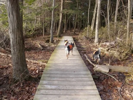 Point Au Roche State Park