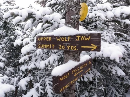 Upper WolfJaw (31)  Armstrong Mt (32)