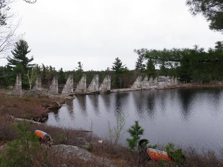 Flat Rock State Forest, Altona NY