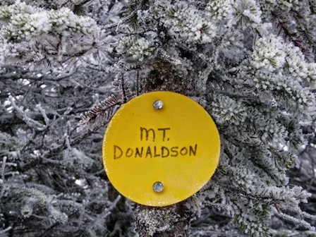 Seward (33), Donaldson (23), Emmons (24) Mtn's