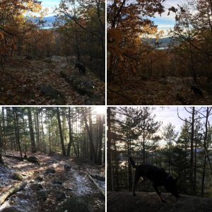 Silver Lake Mountain