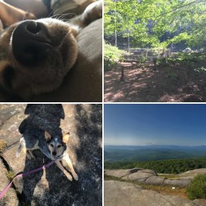 Poke-O-Moonshine Mountain