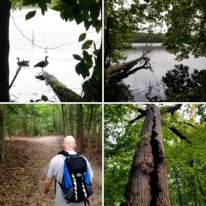 Burke Lake Loop Trail