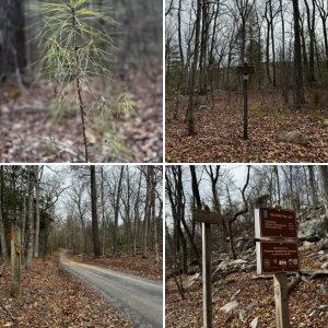 Massanutten Trail Part 2