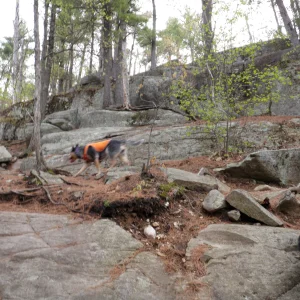 Working our way up the ledges, no snakes in sight.