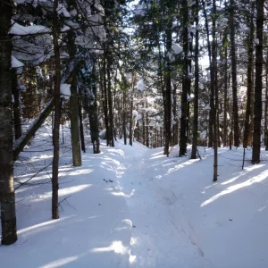 1146861_10204727152076810_3998355497805498931_o