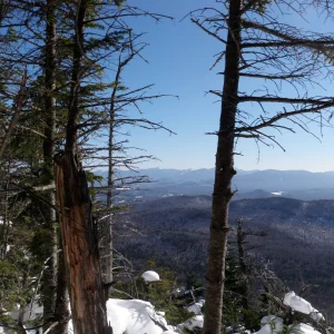 First views going up McKenzie.