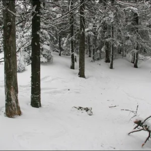 Street___Nye_junction