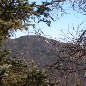 Seward_from_Emmons_2008