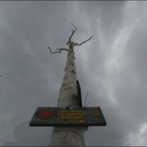 IMG_5762_Prc_regular