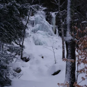 Beaver Meadows Falls