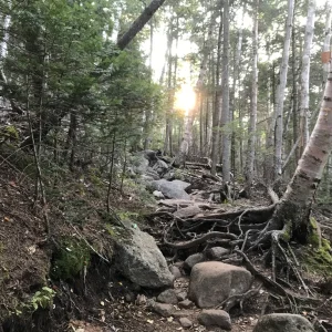 Morning sun coming through