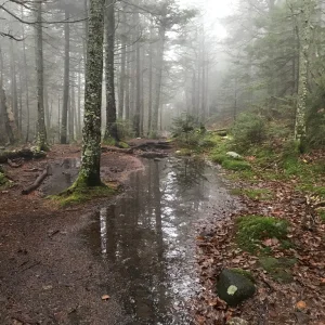 Flat area before the steep