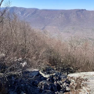 Views west, looking down