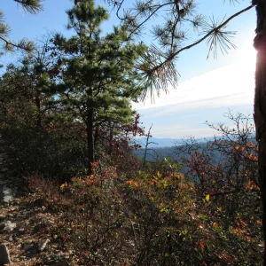 Starting to get views