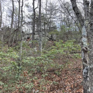 Some of the rock outcrop