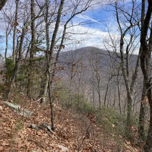 Waonaze Peak through the trees