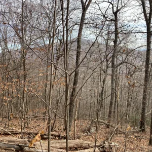 Waonaze Peak in the distance