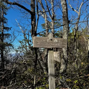 7 Bar None Tr Junction