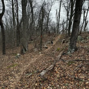 Heading to the Other Side of the Ridge