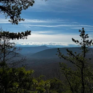 Looking East Towards Fort Valley.jpg