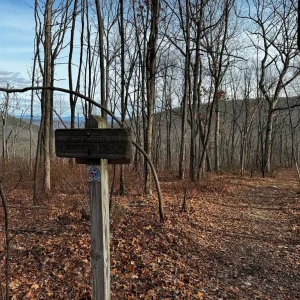 Moreland Gap Rd Crossing.jpg