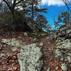 Rocky Outcropping.jpg