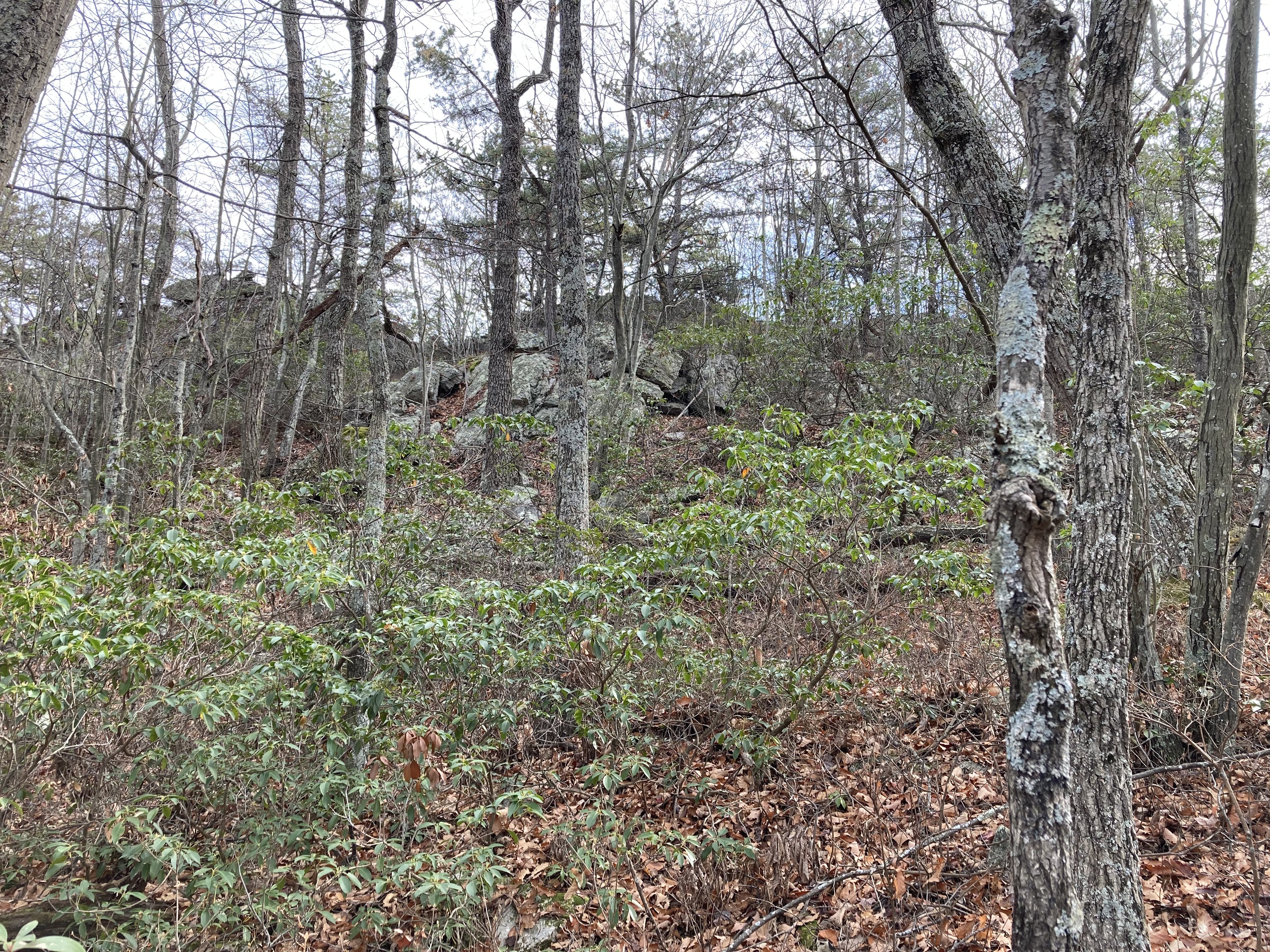 Some of the rock outcrop