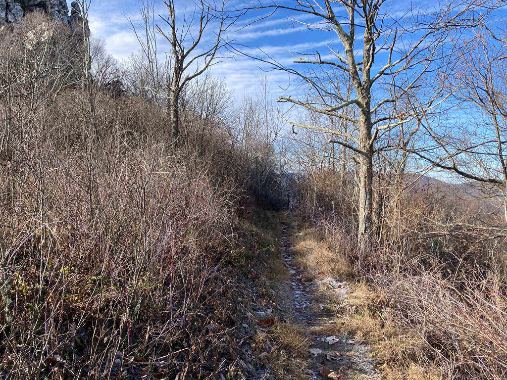 View of trail, north of Big Schloss, looking south