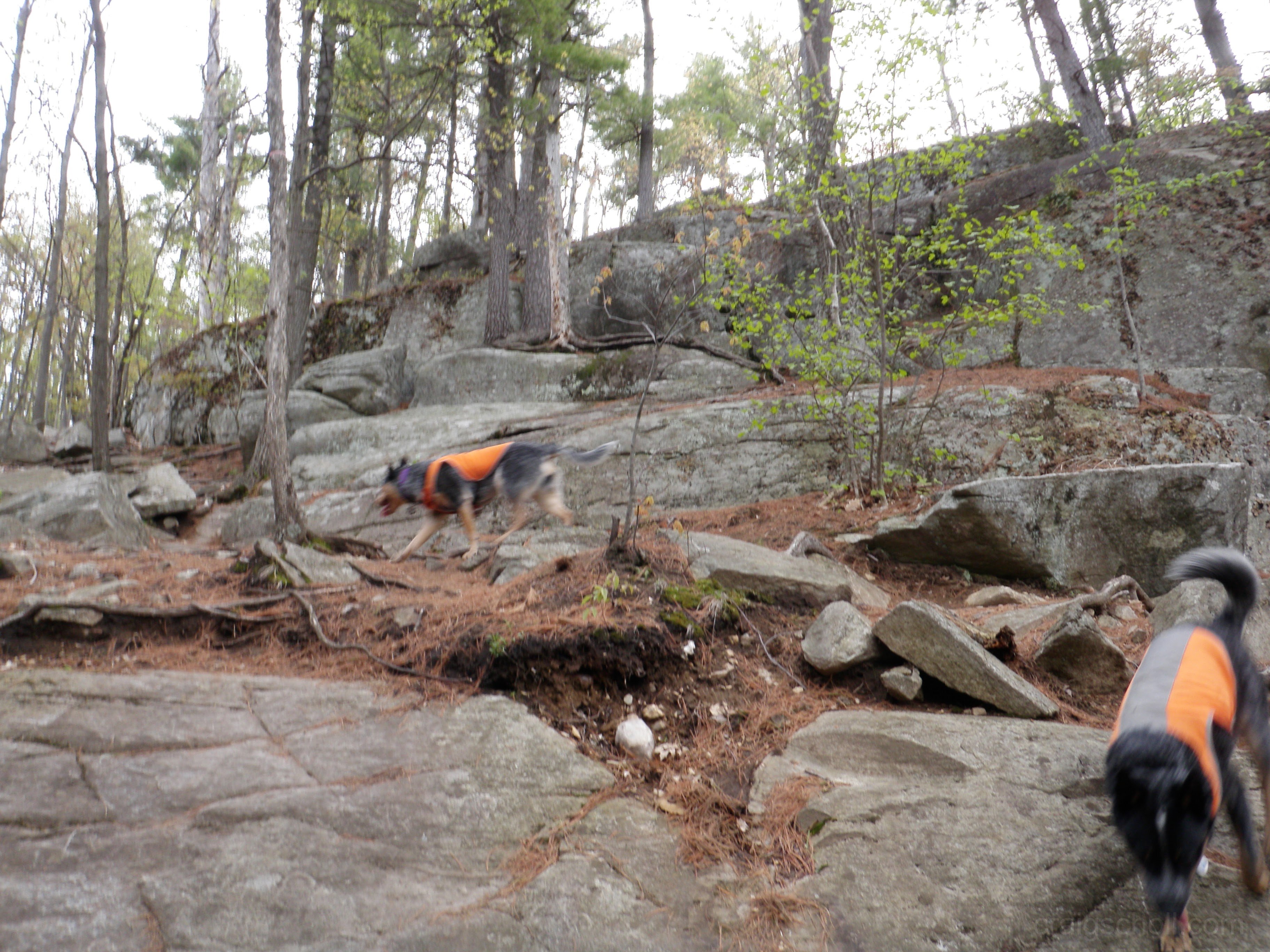 Working our way up the ledges, no snakes in sight.
